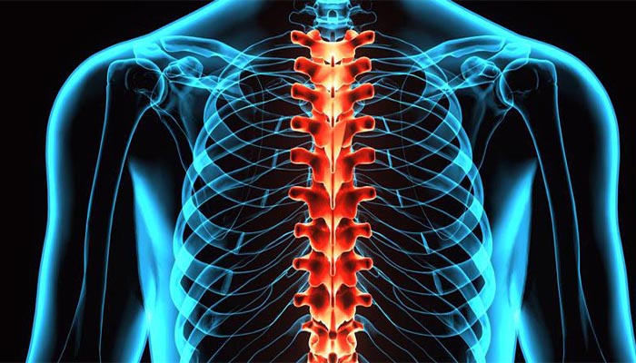 آناتومی ستون فقرات